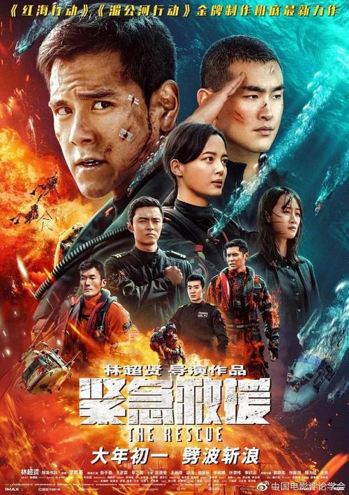 补办驾照在哪里